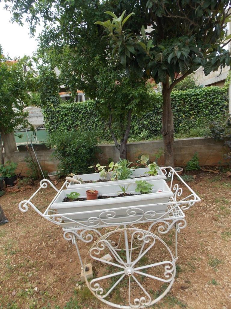 Apartment Ivana Βόντιτσε Εξωτερικό φωτογραφία